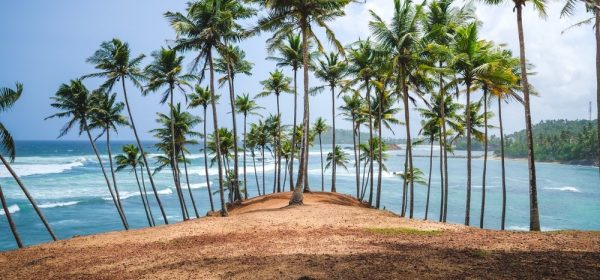 explore sri lanka