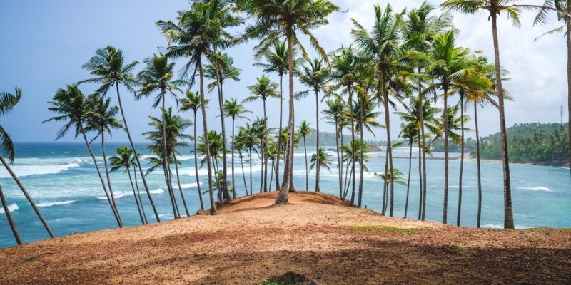explore sri lanka