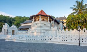 kandy day tour1