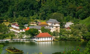 kandy day tour4