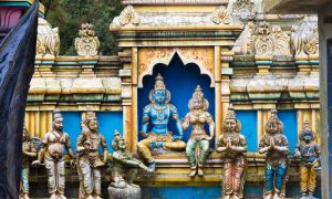 nuwara eliya day tour 3