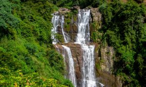 nuwara eliya day tour