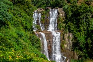 nuwara eliya day tour