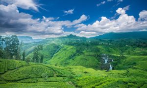 nuwara eliya day tour2