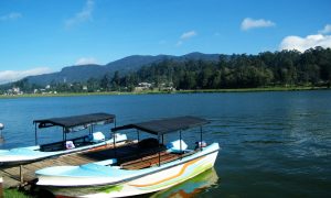 nuwara eliya day tour4