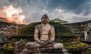 polonnaruwa day tour 2