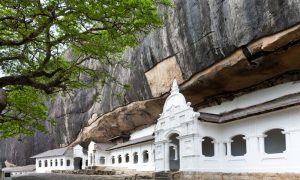 sigiriya & dambulla day tour1