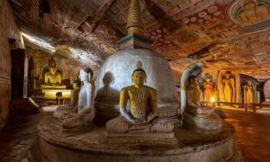 sigiriya & dambulls day tour2